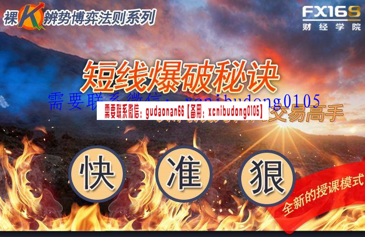 fx158 戴翀  2019年短线爆破秘诀课程外汇 视频课程
