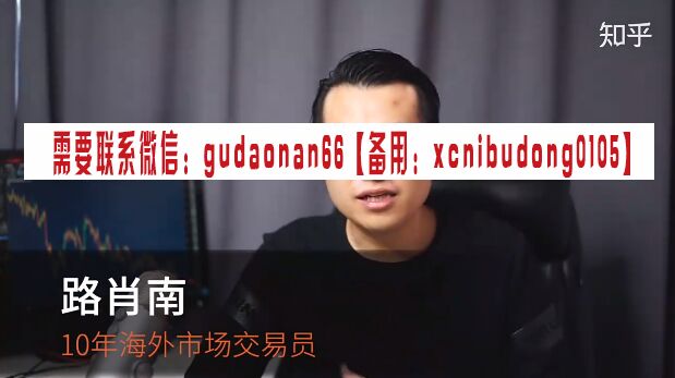 路肖楠学社 路肖南Lester 实战交易指南系列课程 外汇交易课程