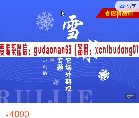 睿捷期权 雪球 及其它场外期权结构专题精品课