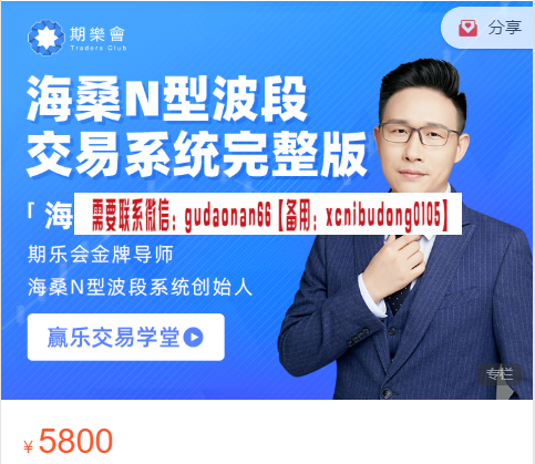 海桑N型波段交易系统完整版