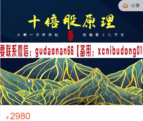 心吾大讲堂 王心吾 十倍股原理课