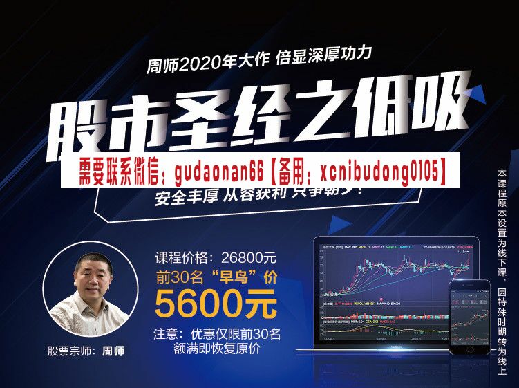 周志伟 股市圣经之低吸 股票视频课程