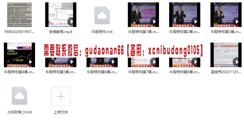 温俊玮2022双十一课程牛股特攻股票视频课程