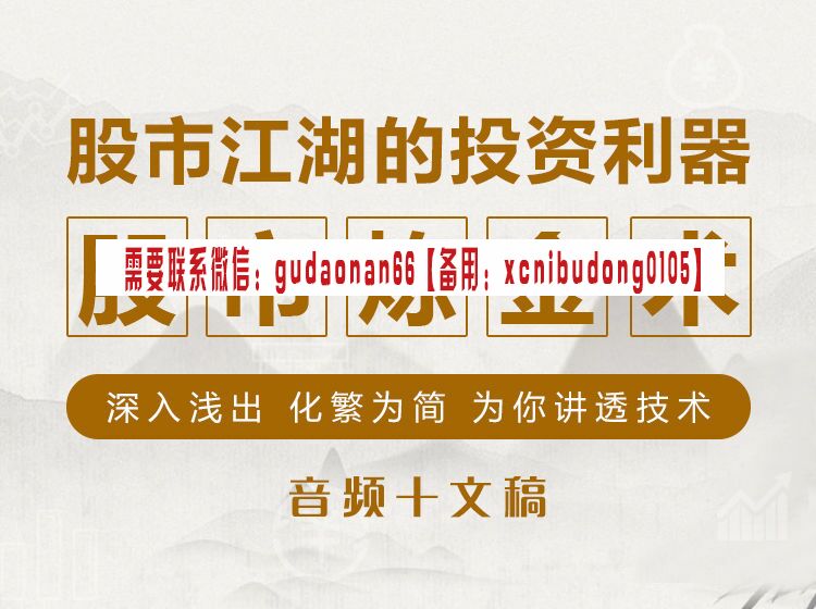 丁冲 股市炼金术