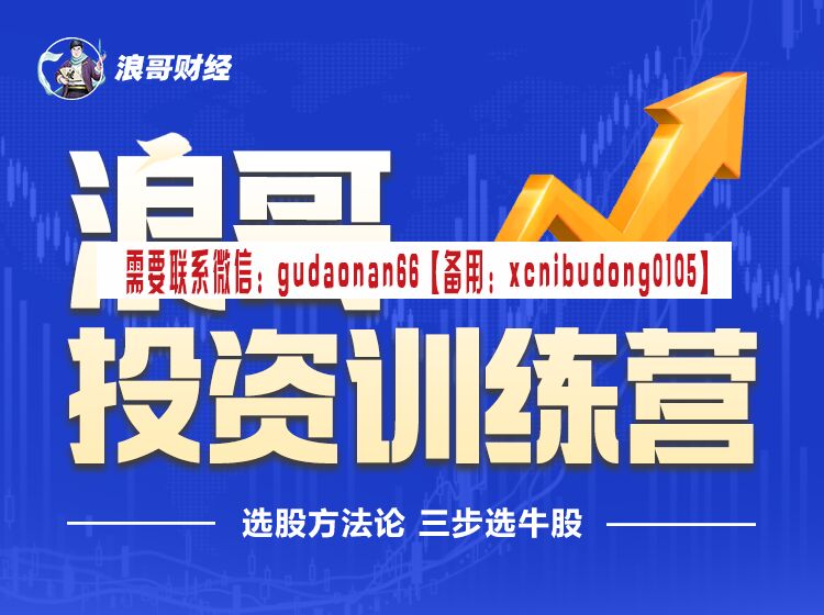 浪哥投资训练营视频课程