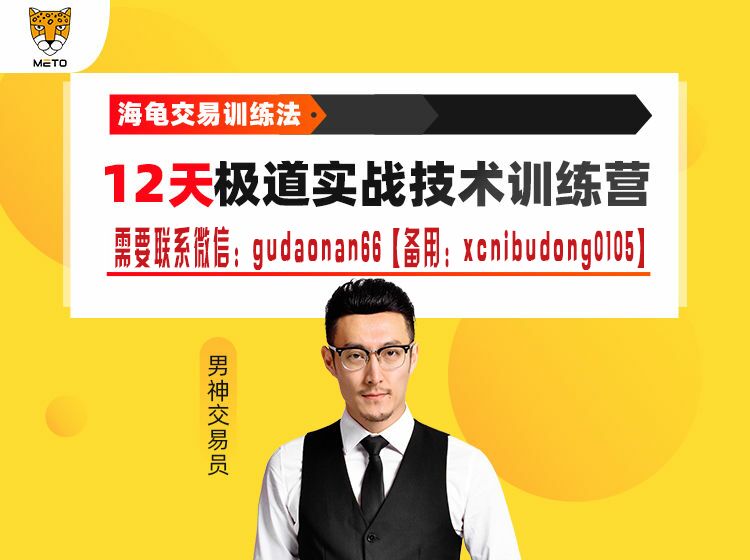 赵沉心 海龟交易训练法 12天极道实战技术训练营 15节实战体系课程(短期+长期)技巧掌握