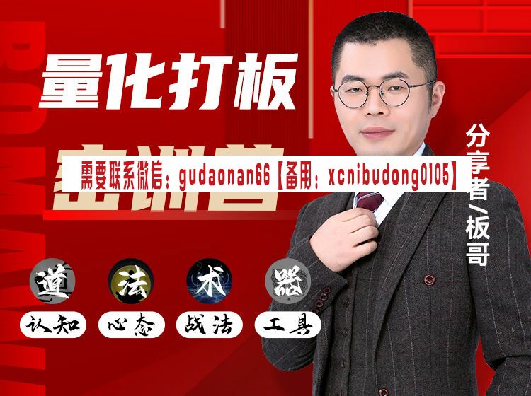 板哥 量化打板密训营 股票视频课程
