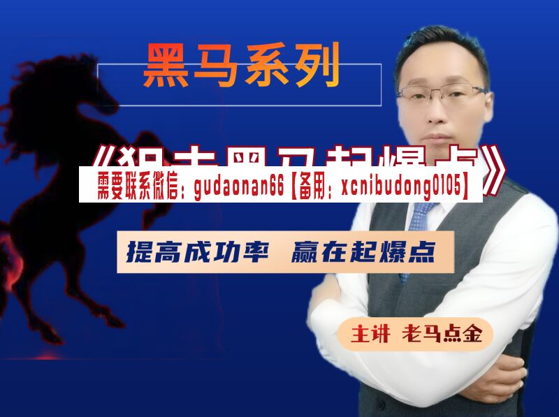 老马点金 狙击黑马起爆点 股票视频课程