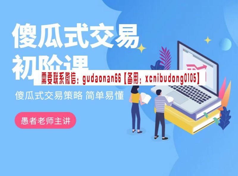 愚者老师 傻瓜式交易策略课程（初阶）期货视频课程