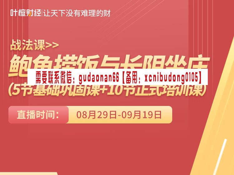 千叶千鹤 鲍鱼捞饭与长阴做庄战法 主控技术战法 股票内部培训视频课程