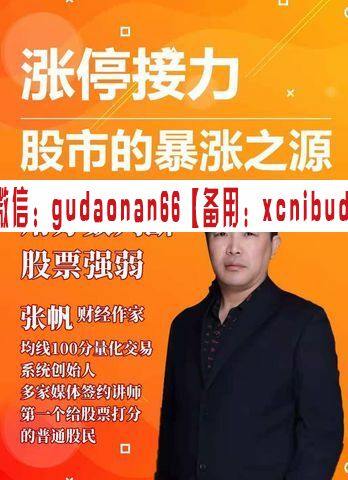 张帆 涨停接力 股市的暴涨之源 股票视频课程