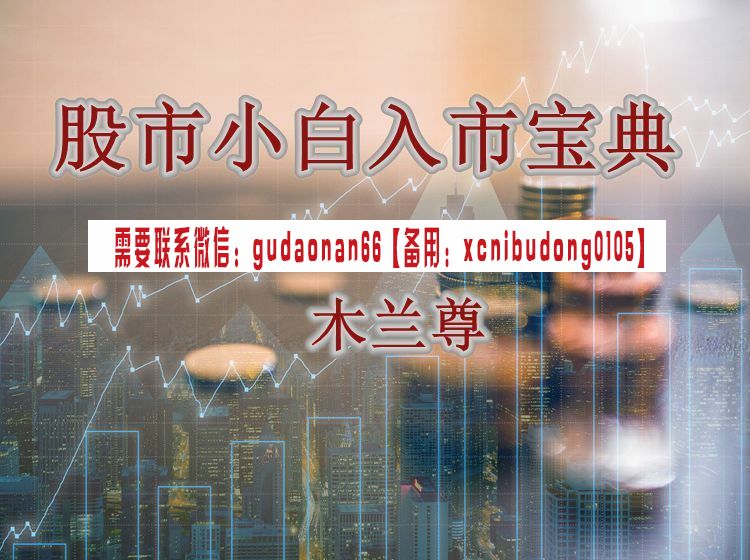 木兰尊 股市小白入市宝典（专栏20讲）股票入门课程
