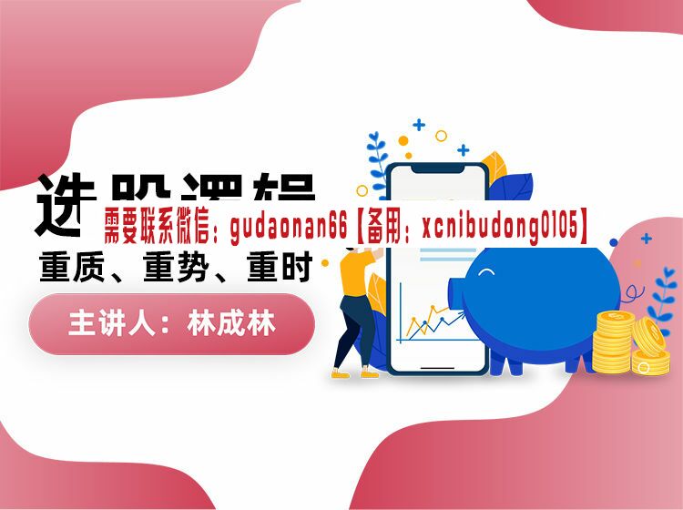 成林说 选股逻辑 股票视频课程
