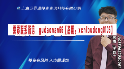 千叶千鹤 主控派大师 拨云见日 股票课程内部培训实战视频