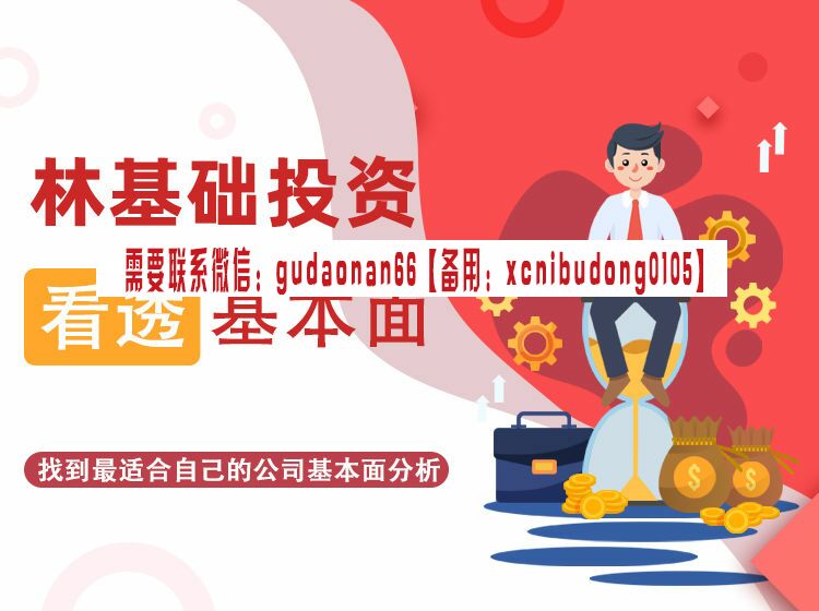 成林说 林基础股市基本面 股票视频课程
