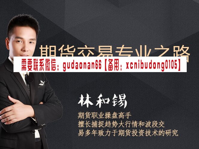 林和锡 期货交易专业之路 期货交易视频