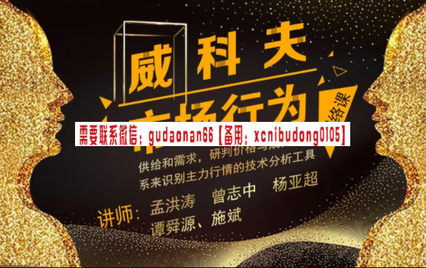 孟洪涛团队：威科夫市场行为基础网络训练营