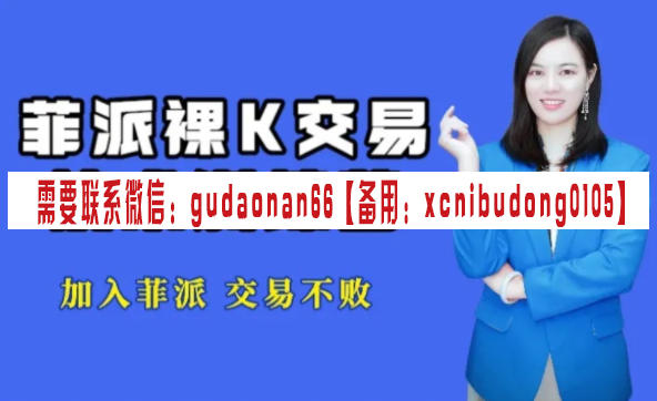 菲派交易学院 菲派裸K交易技术班（初级班）股票视频课程