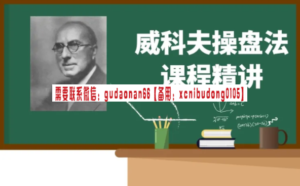 币圈大魔王 威科夫操盘法 区块链数字货币实战视频课程