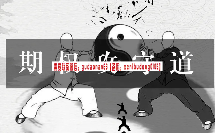 王勇 期权攻守道 视频课程
