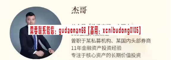 价投杰哥S公司的投资密码