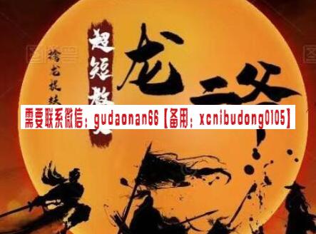 龙二爷 超短教父龙二爷 擒龙捉妖系统课视频