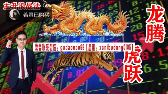 老蒋 龙腾虎跃战法：专注于主升浪行情视频课程