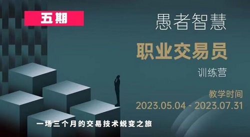 愚者智慧 职业交易员训练营 第五期视频课程