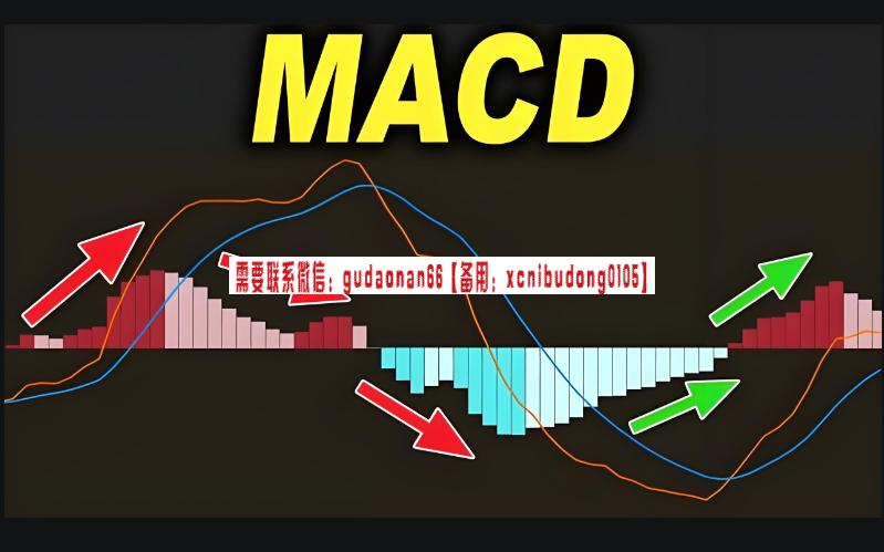 macd从入门到精通到实战的全解析课程